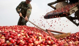 Nga trừng phạt phương Tây, Trung Quốc hưởng lợi